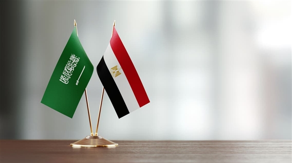 بيان سعودي مصري يشدد على أهمية ضمان حرية الملاحة في باب المندب والبحر الأحمر